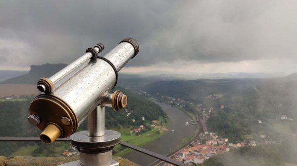 Quels sont les meilleurs endroits pour l'observation des oiseaux dans la forêt amazonienne ?