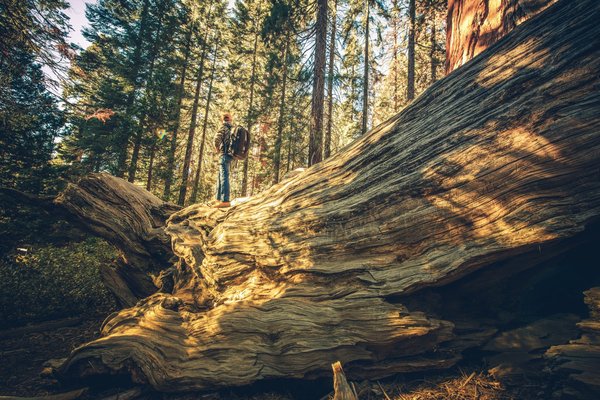 Comment explorer les châteaux médiévaux de Bavière, Allemagne ?